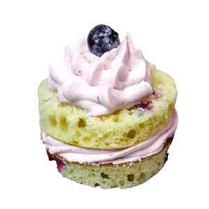 Lemon Blueberry Mini Cake